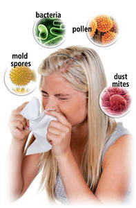  Allergy and Asthma Cleaning 